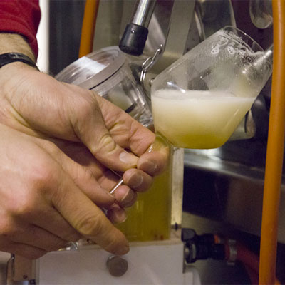 processo produttivo birra viola